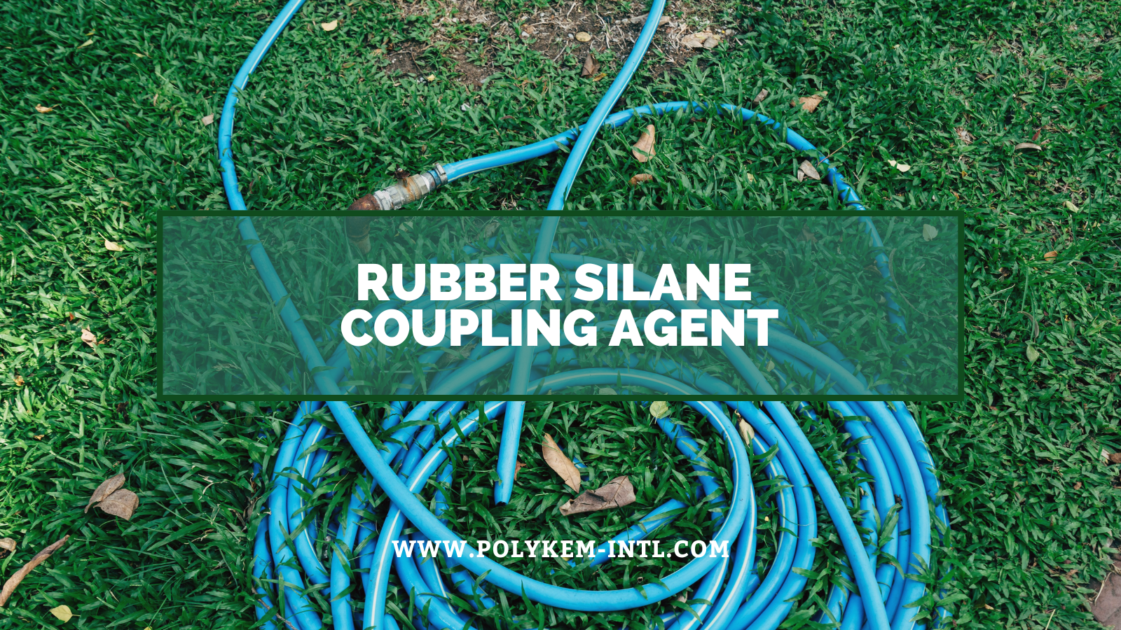 রাবার সিলেন কাপলিং এজেন্টের বৈশিষ্ট্য এবং প্রয়োগ: আপগ্রেড করার জন্য পলিকেম পাওয়ার রাবার পণ্য